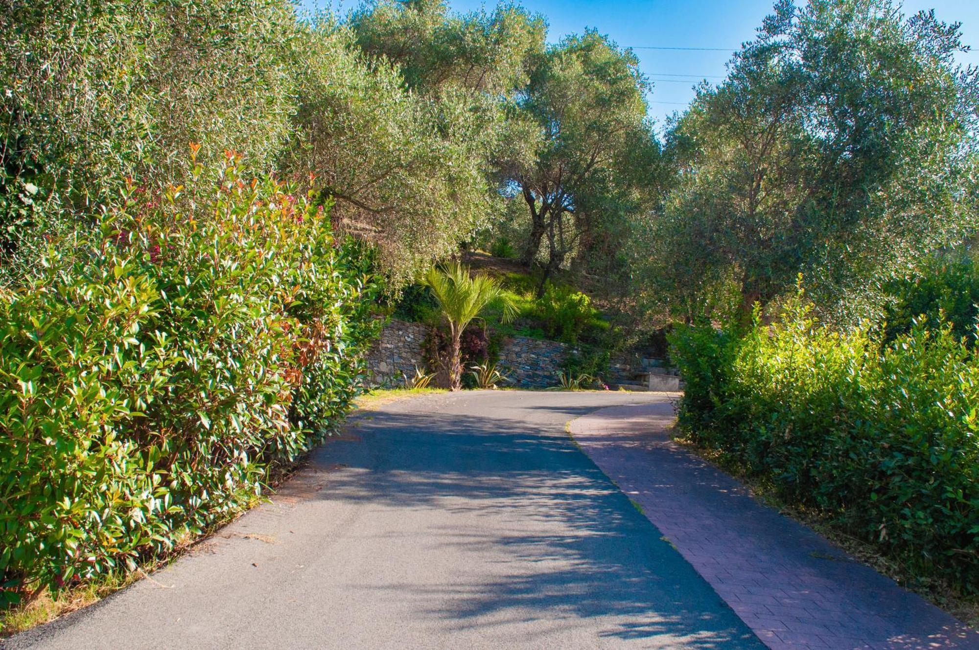 Casa Due Ulivi Βίλα Lavagna Εξωτερικό φωτογραφία